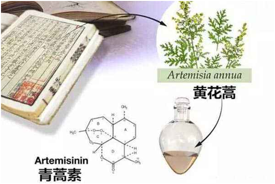 爱体育官网,爱体育（中国）：向中医药看齐，与世界共享中医药文化(图1)